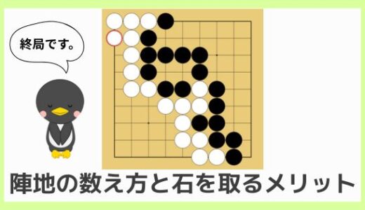 【囲碁初心者向け動画講座④】陣地の数え方と石を取るメリット｜着手禁止点やアゲハマについても解説！